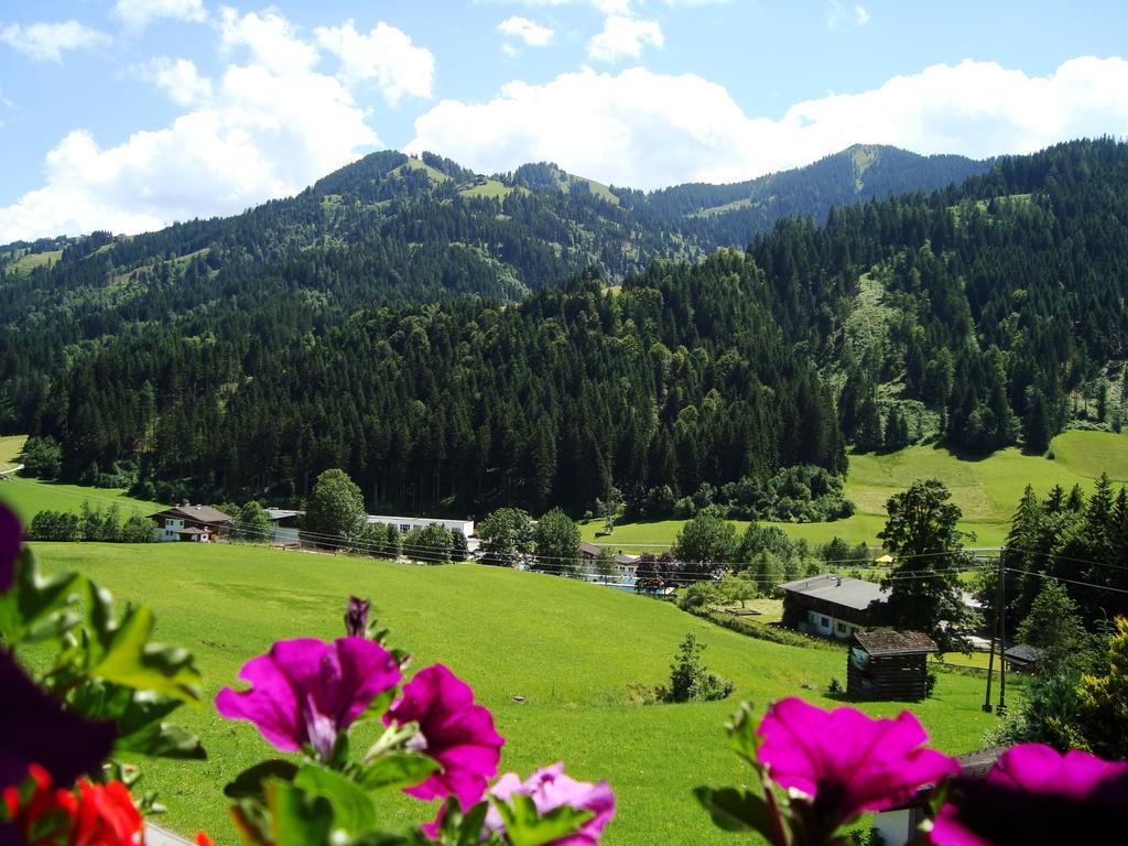 Appartement Haus Sonnenrose à Oberau Extérieur photo